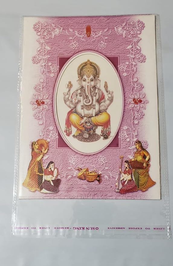 Bigpalycoan® Self Adhesive BOPP A4 Size Seal Transparent Plastic Packing Bags Pouches for Multipurpose Garments Clothes Saree Shirt (100 PCS, 10" x 14")