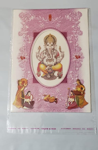 Bigpalycoan® Self Adhesive BOPP A4 Size Seal Transparent Plastic Packing Bags Pouches for Multipurpose Garments Clothes Saree Shirt (100 PCS, 10" x 14")